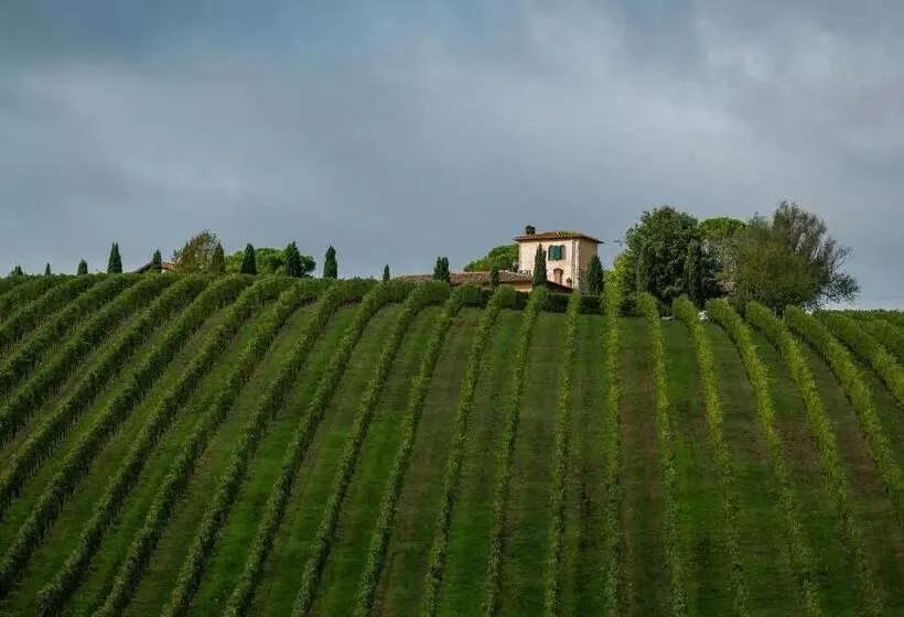 هتل Viticcio