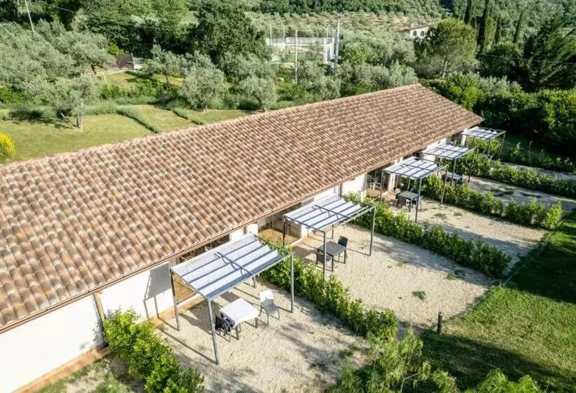 ホテル Agriturismo Il Bagolaro
