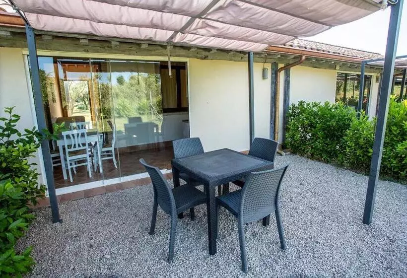 ホテル Agriturismo Il Bagolaro