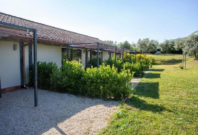 فندق Agriturismo Il Bagolaro