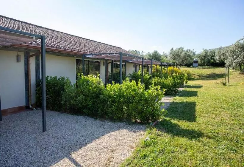 ホテル Agriturismo Il Bagolaro
