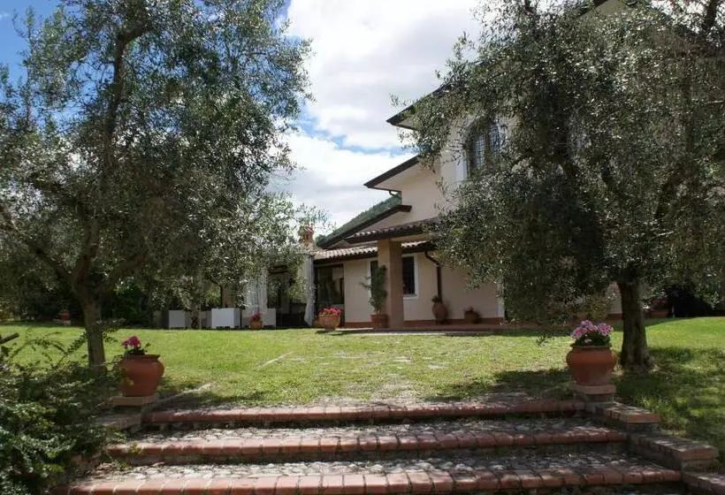 ホテル Agriturismo Il Bagolaro