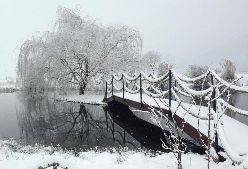 בית מלון כפרי Agriturismo Il Pozzo