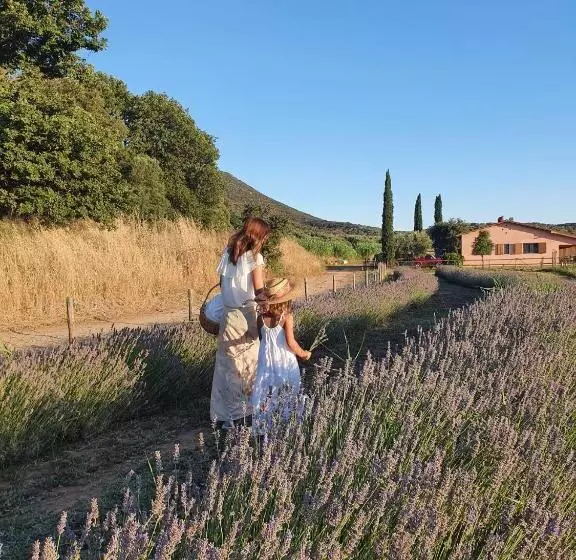 ホテル Agriturismo Le Giunchiglie
