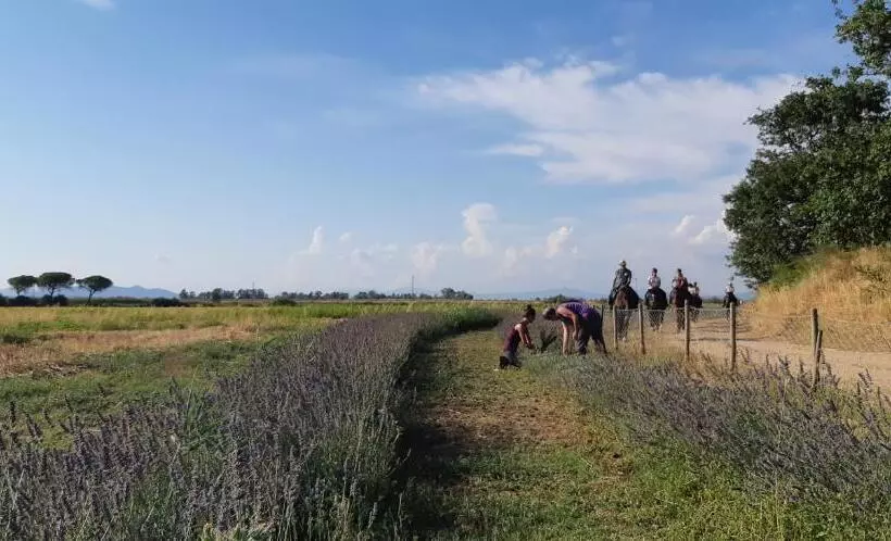 ホテル Agriturismo Le Giunchiglie