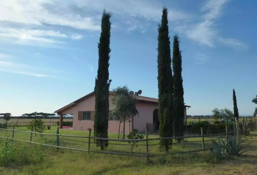 ホテル Agriturismo Le Giunchiglie
