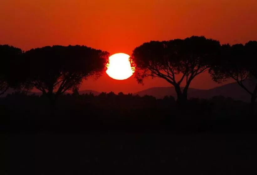 ホテル Agriturismo Le Giunchiglie