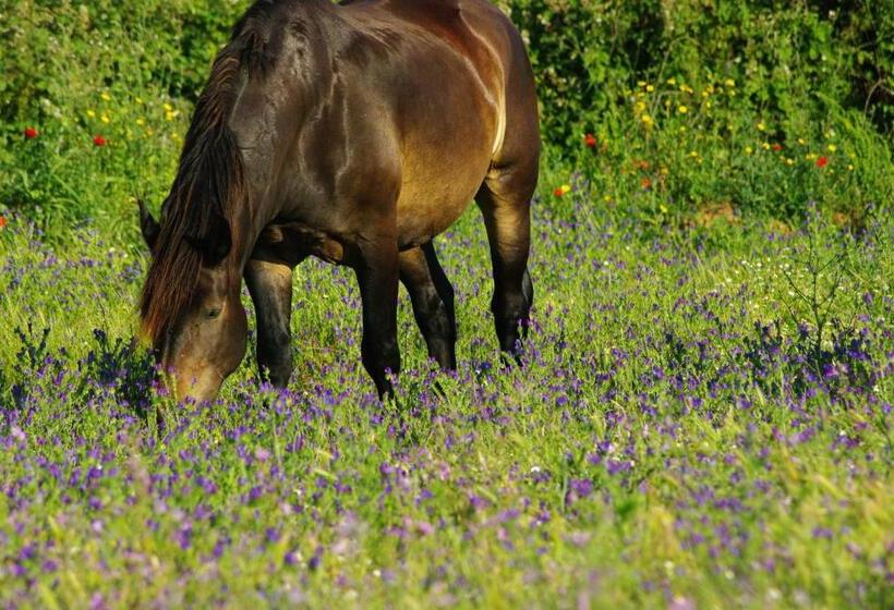 فندق Agriturismo Le Giunchiglie