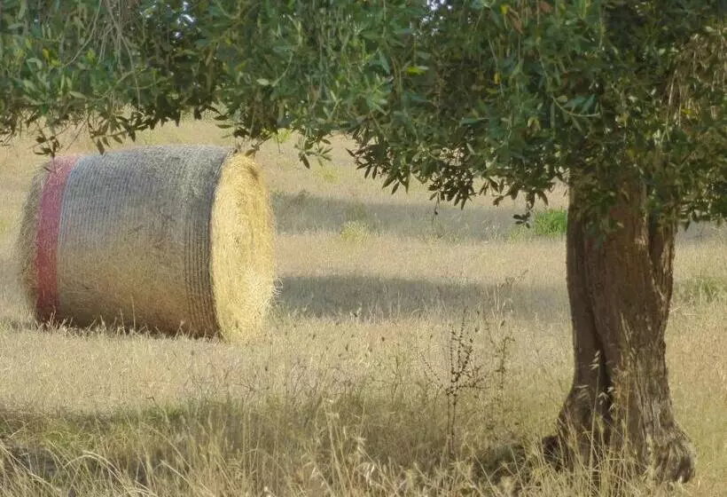 ホテル Agriturismo Le Giunchiglie