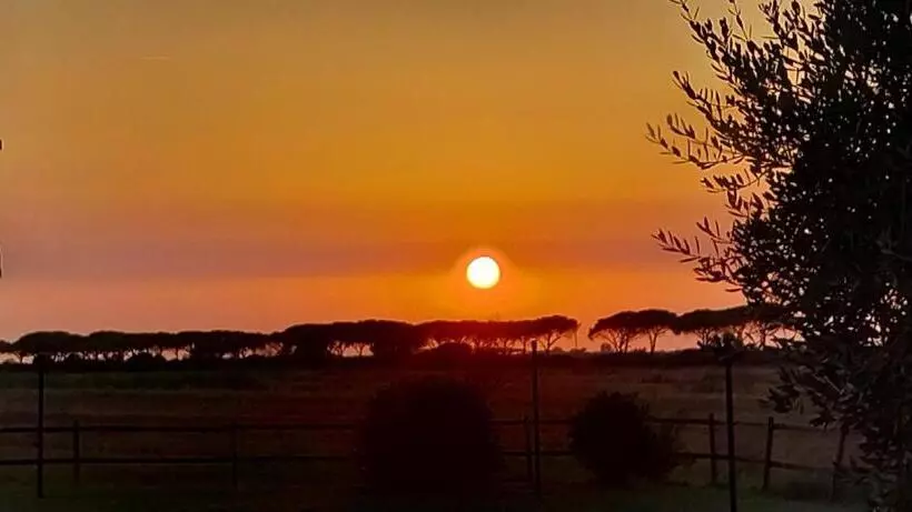 ホテル Agriturismo Le Giunchiglie