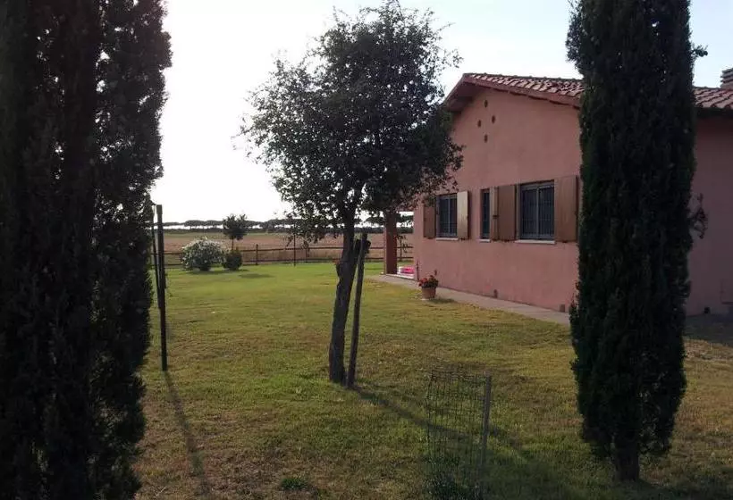 ホテル Agriturismo Le Giunchiglie