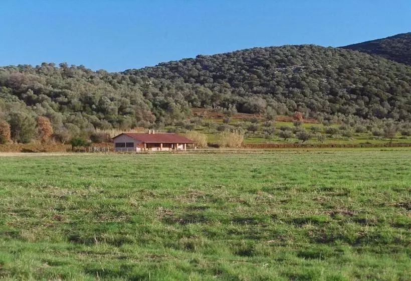ホテル Agriturismo Le Giunchiglie