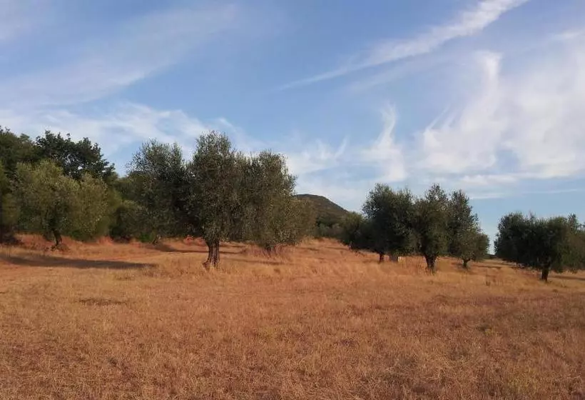 ホテル Agriturismo Le Giunchiglie