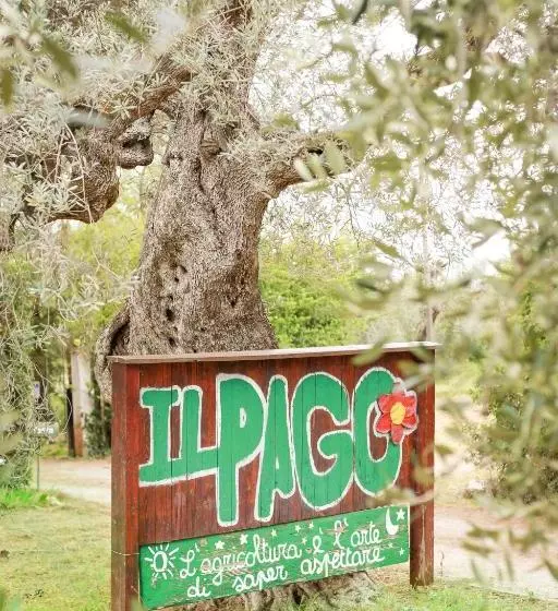 ホテル Azienda Agrituristica Il Pago