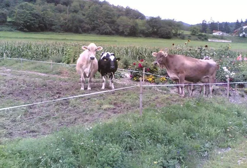 ホテル Brunnerhof