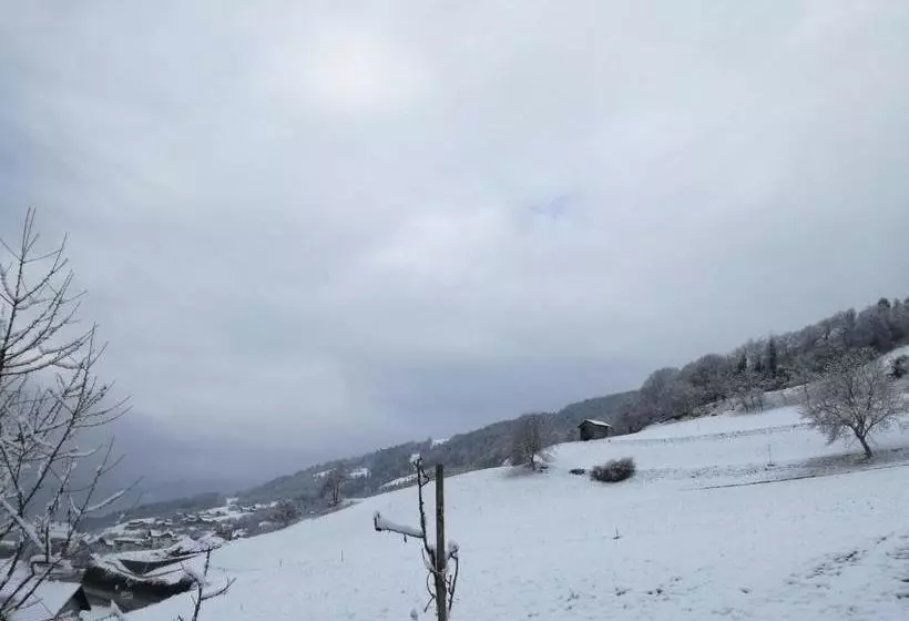 ホテル Brunnerhof