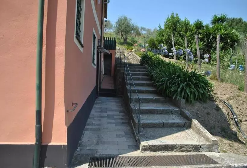 هتل L' Amandola