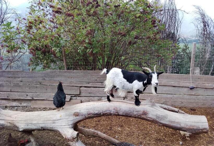 ホテル Patztauhof