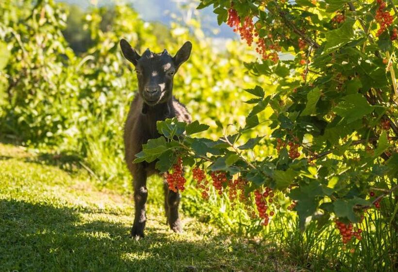 ホテル Patztauhof