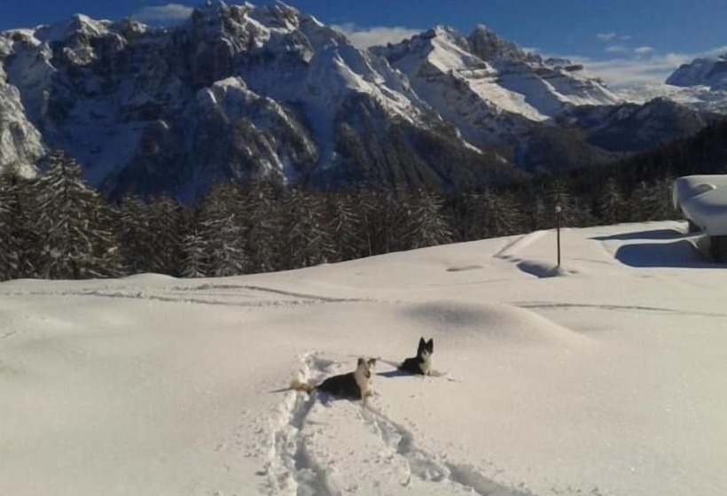 فندق Sole Levante