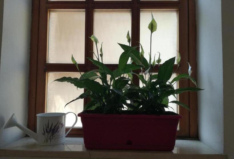 Pensió Bergamo & Dintorni