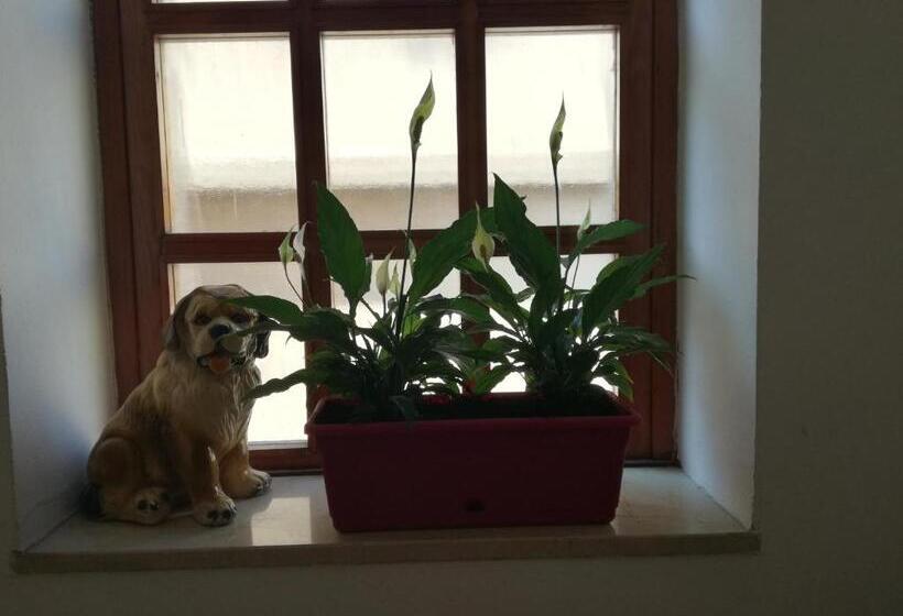 Pensió Bergamo & Dintorni