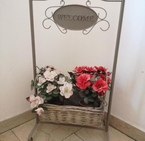 Pensió Bergamo & Dintorni