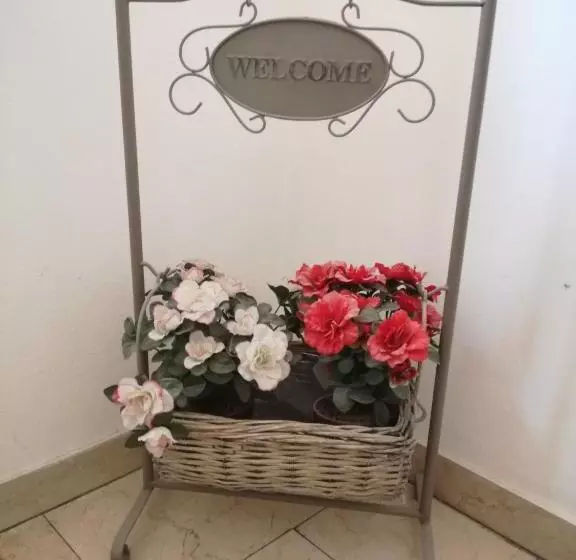 Pensió Bergamo & Dintorni