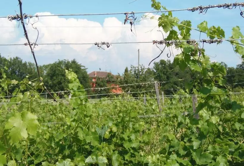 Hotelli Agriturismo Cascina Degli Ulivi