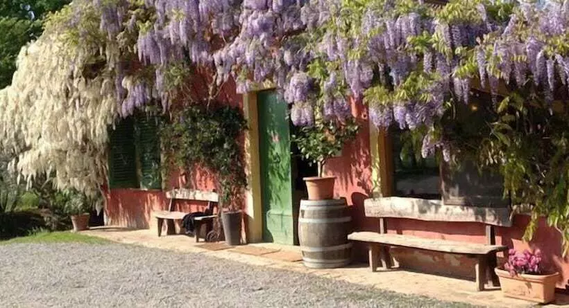 Hotelli Agriturismo Cascina Degli Ulivi