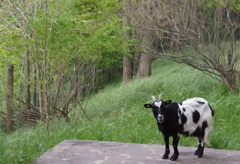 فندق Agriturismo Cascina Degli Ulivi