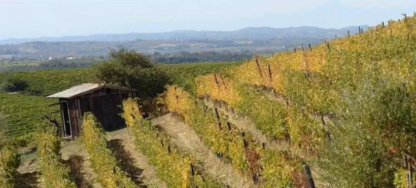 Hotelli Agriturismo Cascina Degli Ulivi