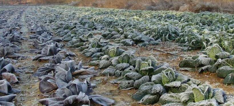 فندق Agriturismo Cascina Degli Ulivi