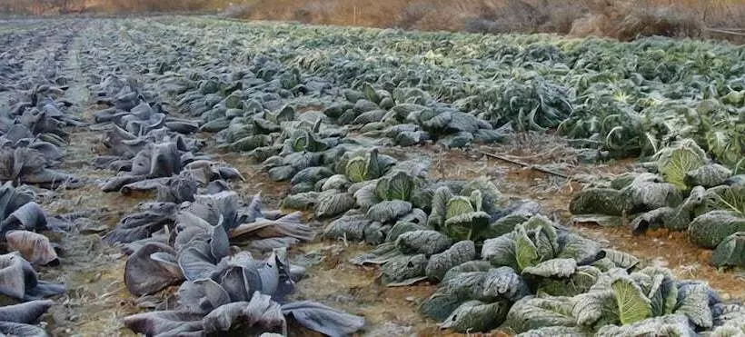 Hotelli Agriturismo Cascina Degli Ulivi