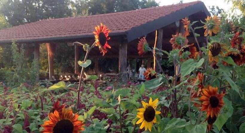 فندق Agriturismo Cascina Degli Ulivi