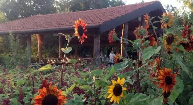 Hotelli Agriturismo Cascina Degli Ulivi