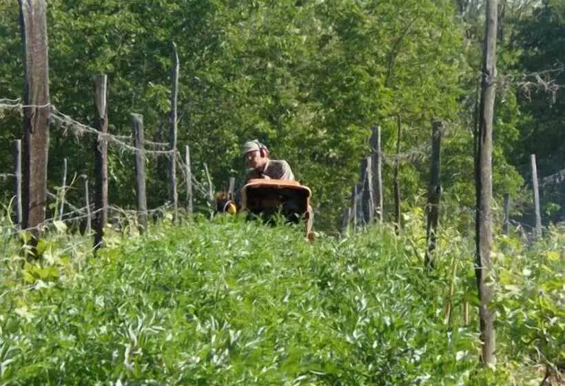 Hotelli Agriturismo Cascina Degli Ulivi