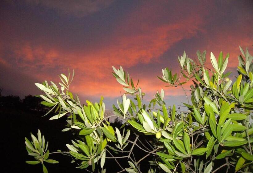 فندق Agriturismo Il Borgo Degli Ulivi