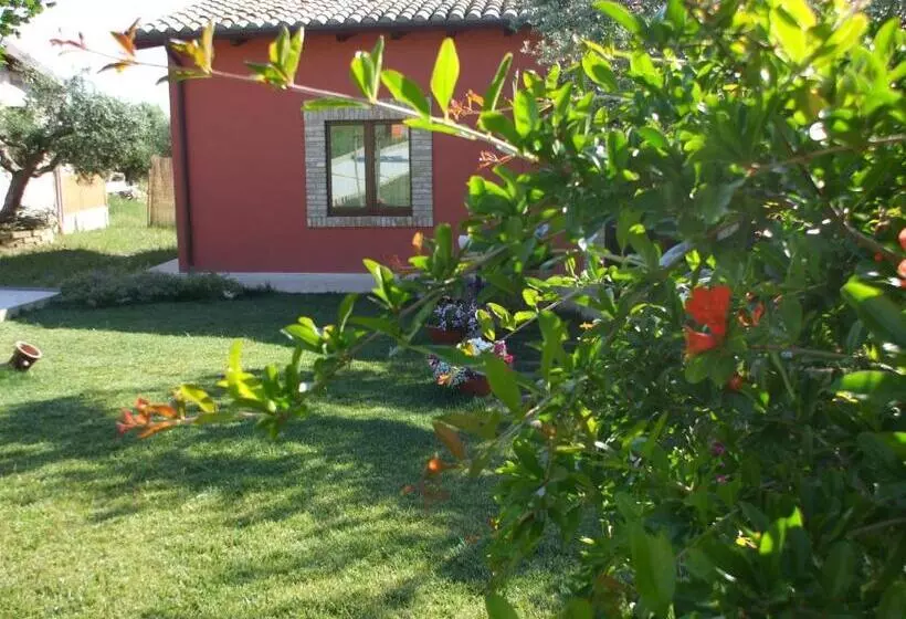 ホテル Agriturismo Il Borgo Degli Ulivi