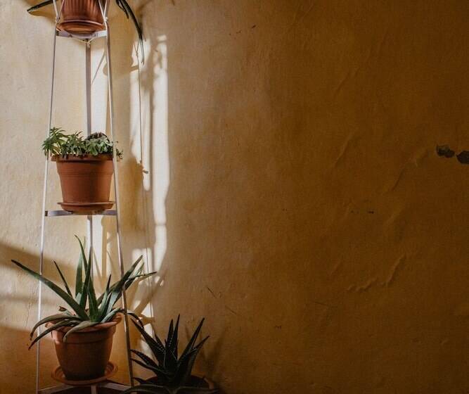 בית מלון כפרי Agriturismo Le Piagge