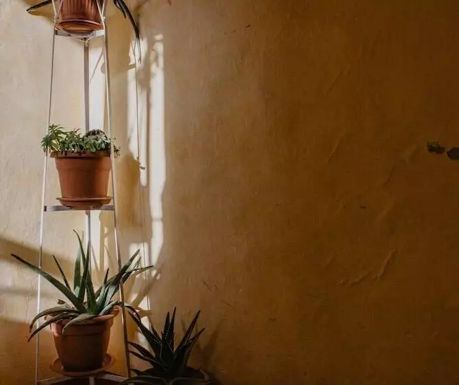 Hotelli Agriturismo Le Piagge