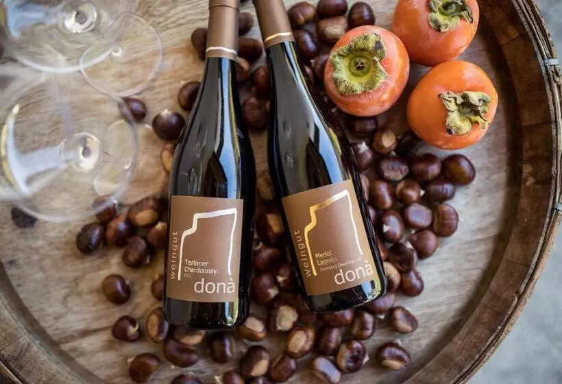 ホテル Weingut Donà