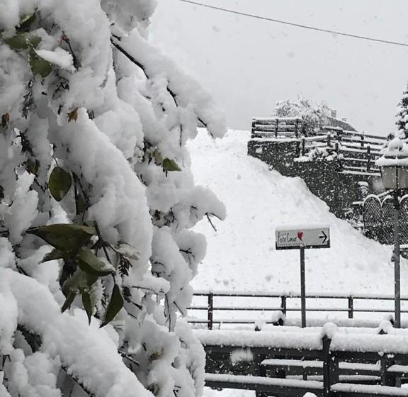 펜션 Affittacamere Petit Coeur