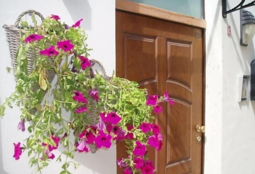 膳宿费 Guest House Bed And Roses