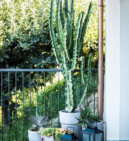 ペンション La Rola