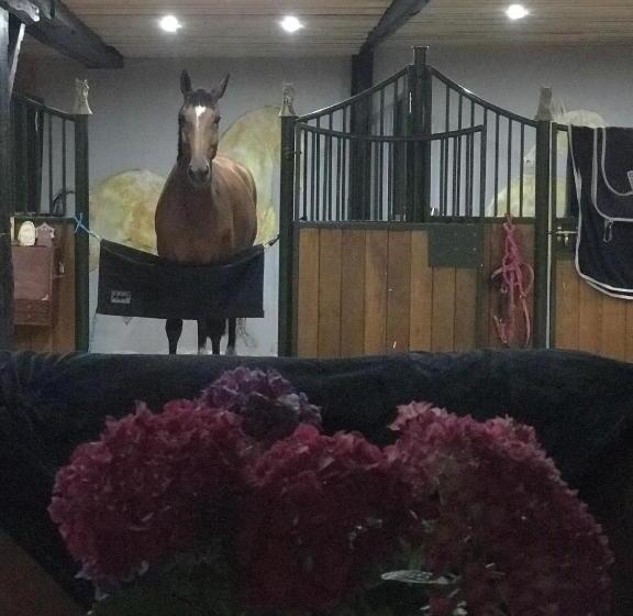 بنسيون La Maison D Inès And Ugolin & Spa