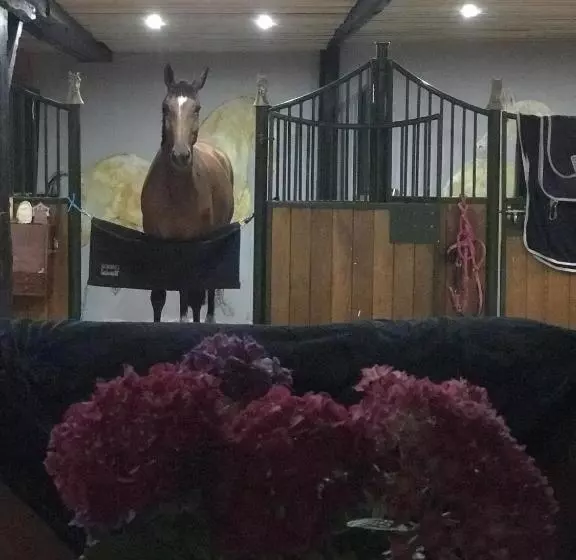 Majatalo La Maison D Inès And Ugolin & Spa