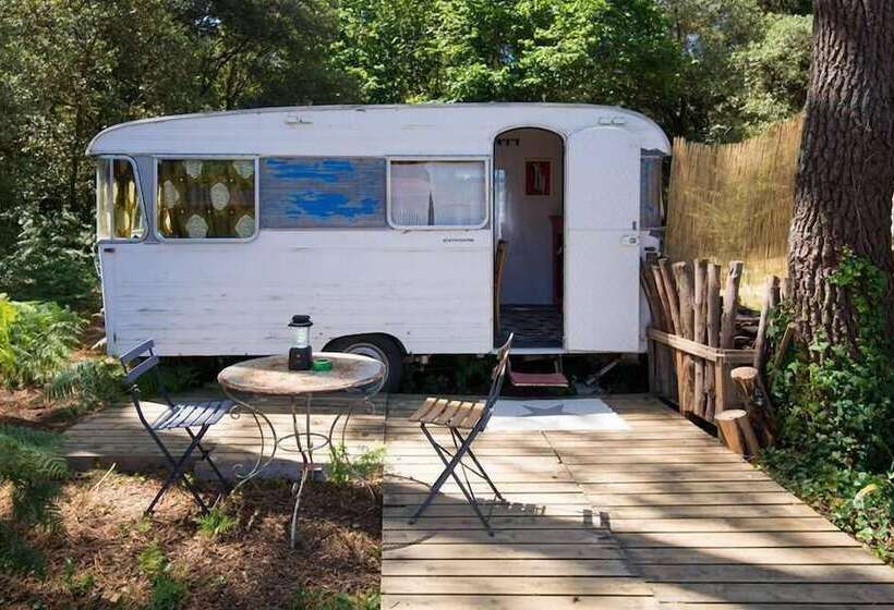 Bed and Breakfast Glamping Insolite Dolly Waikiki