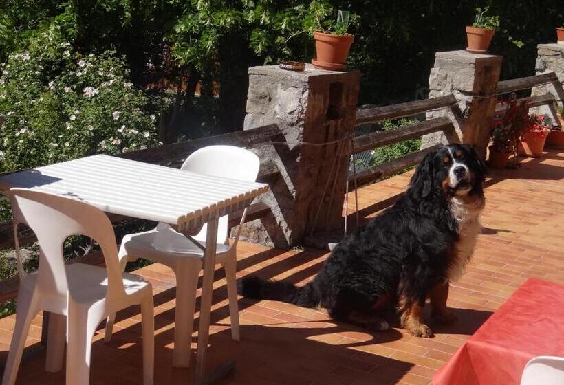 هاستل Chambres D'hôtes Les Murès Du Mercantour