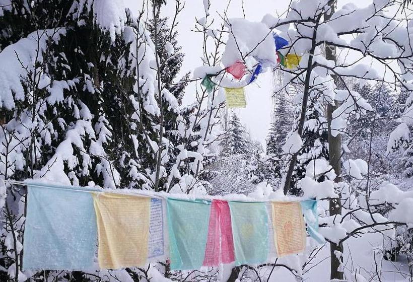 هاستل Chambres D'hôtes Les Murès Du Mercantour